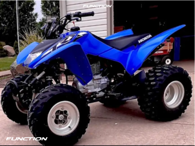 2020 Honda TRX250X - 10 x 5 - OEM Oem -  - 22 x 7